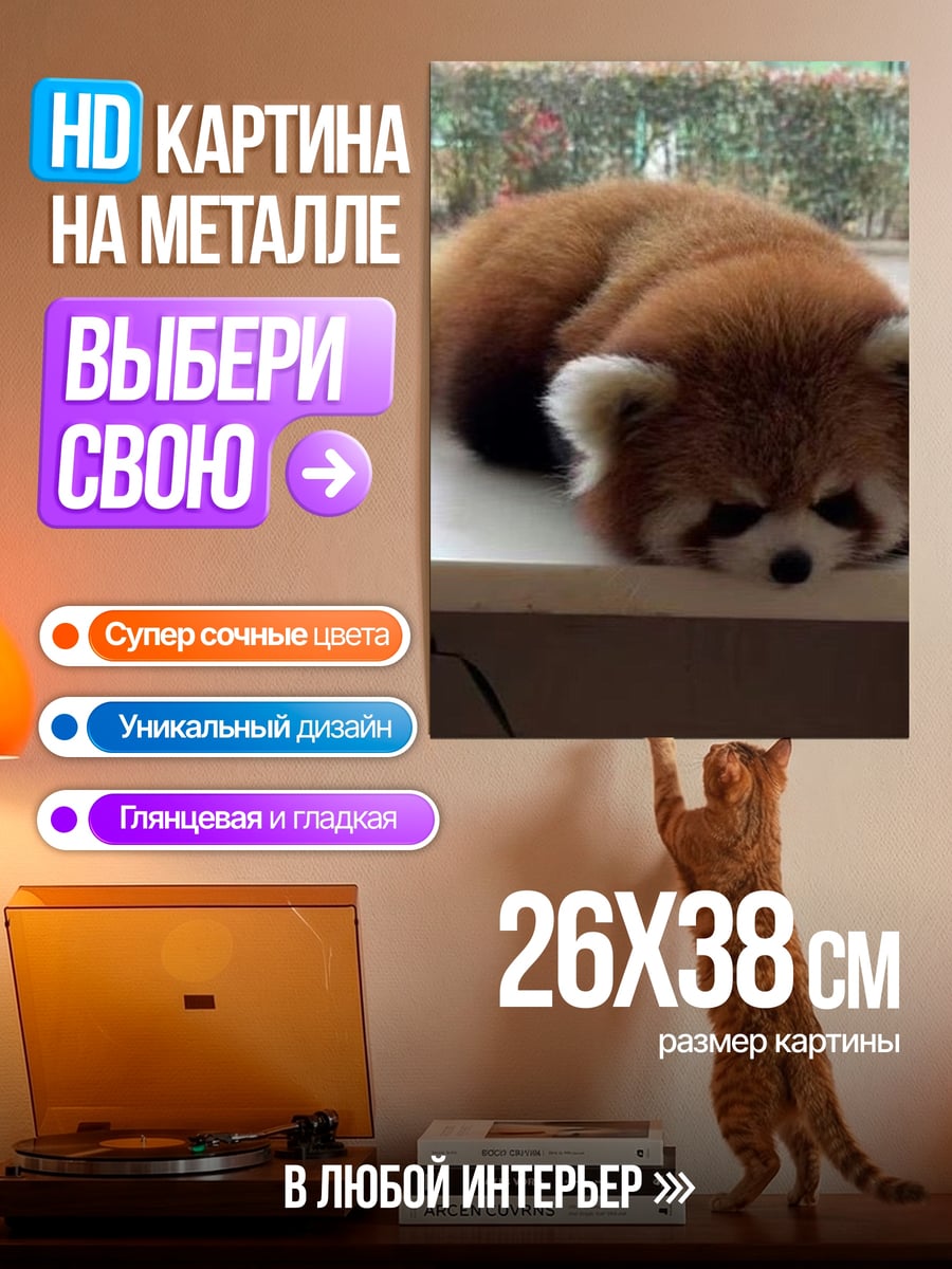 Картина на металле Ленивый красный панда