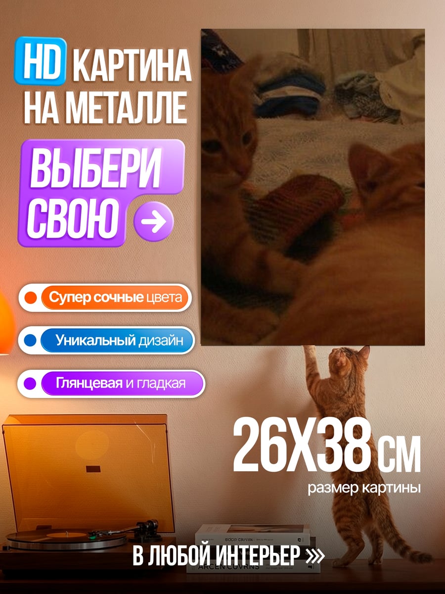 Картина на металле Рыжие котята отдыхают