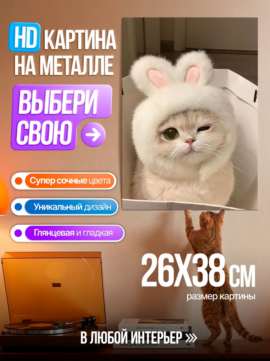 Картина на металле Белый котенок в шапке