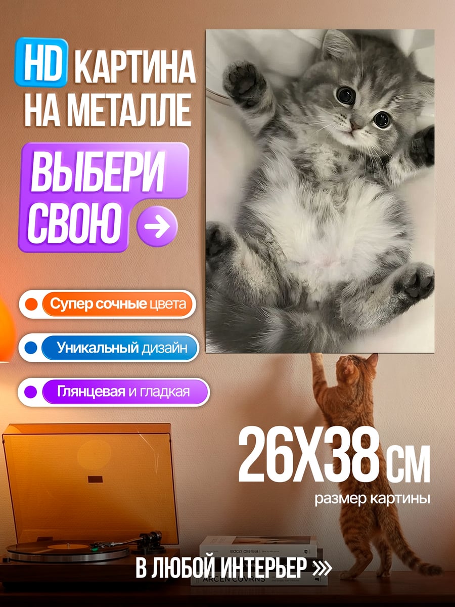 Картина на металле Пушистый серый котенок