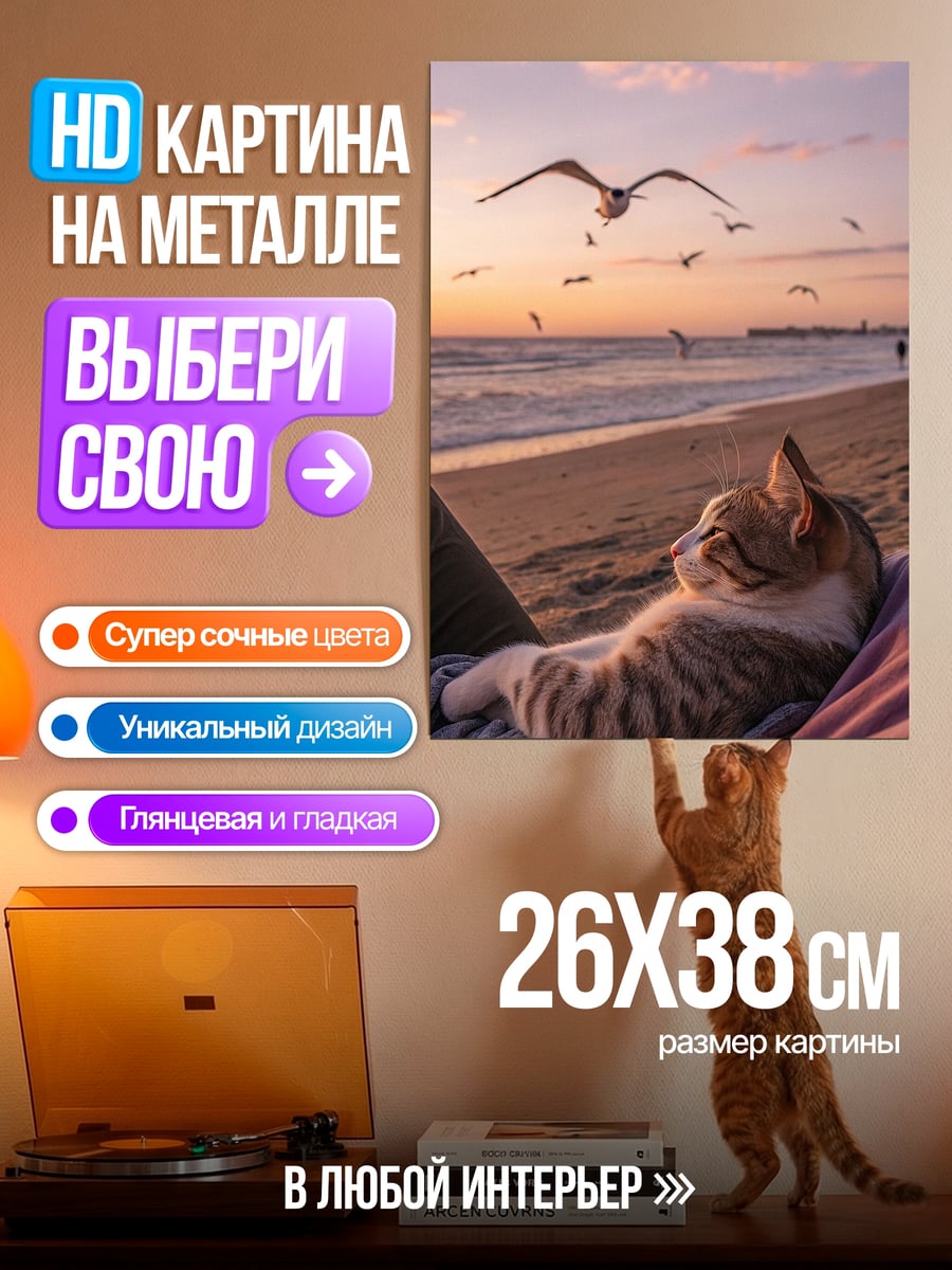 Картина на металле Кот на пляже