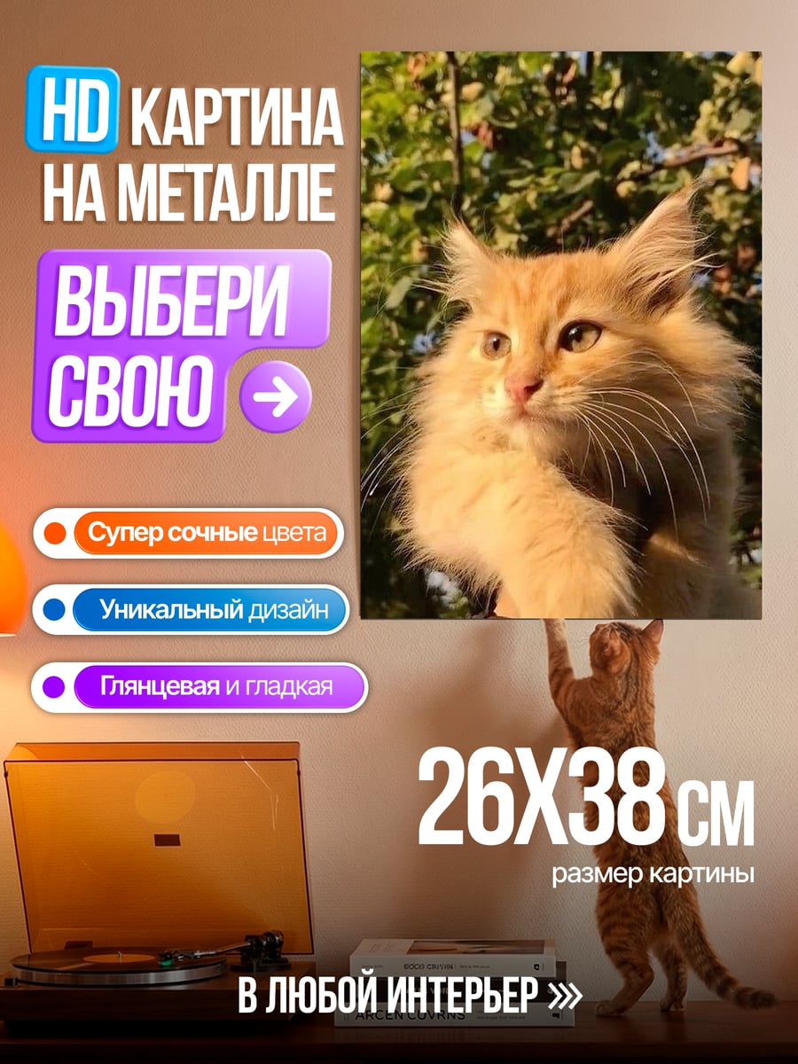 Картина на металле Рыжий кот