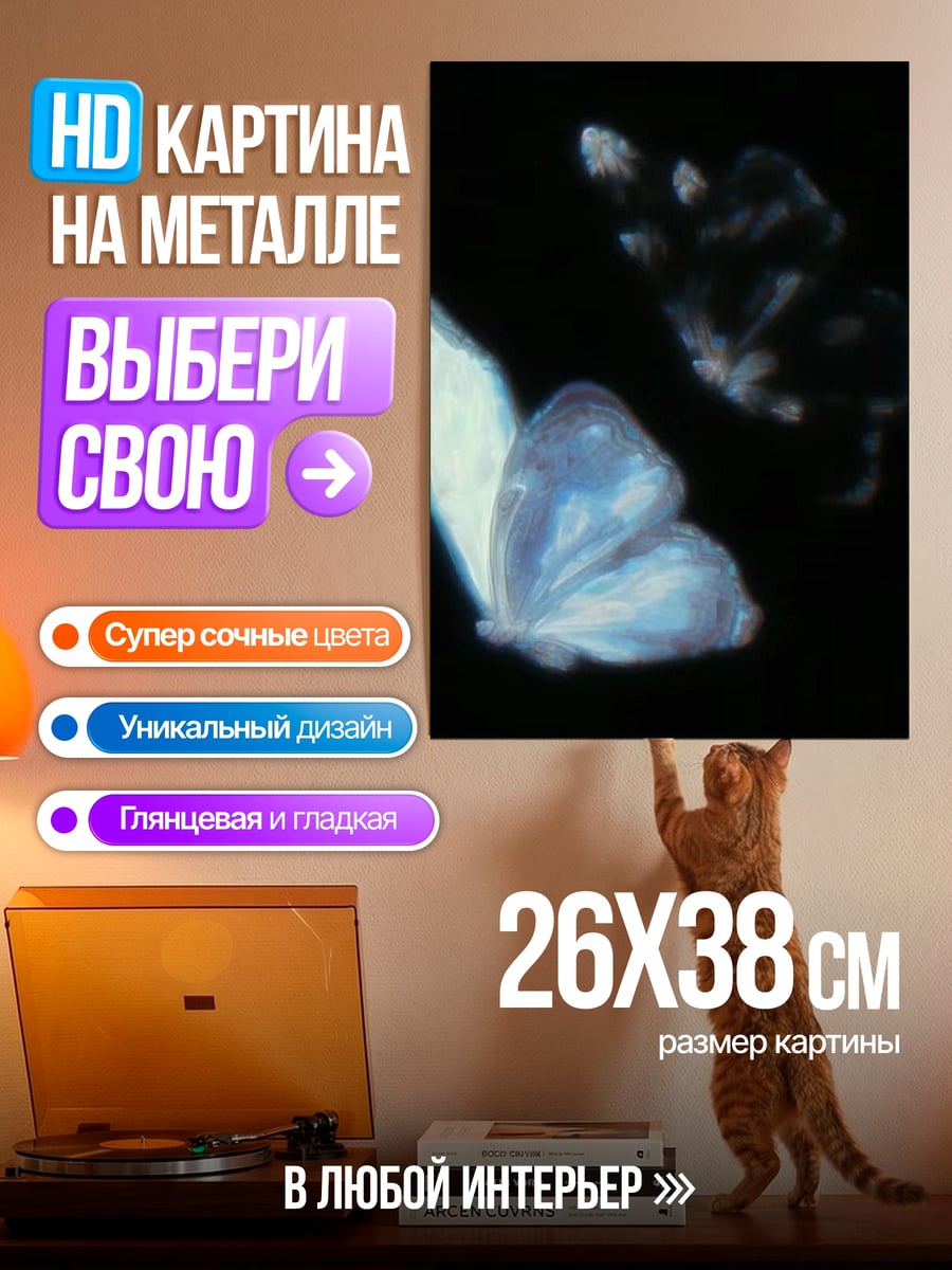 Картина на металле Синий бабочка