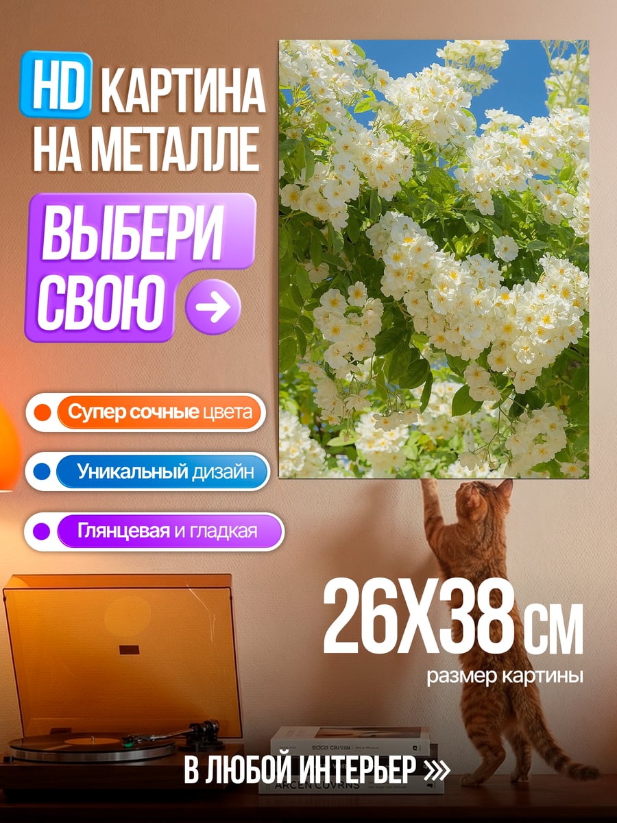 Картина на металле Белые розы