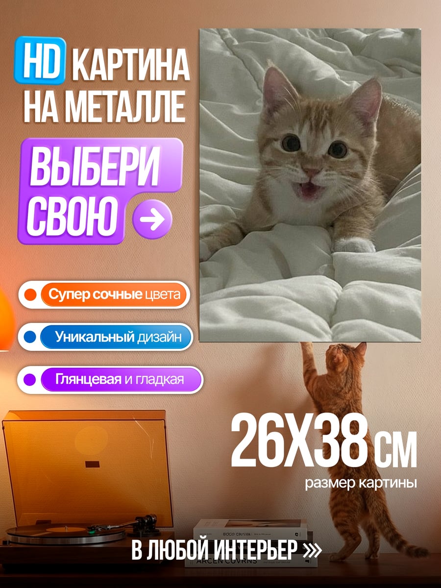Картина на металле Рыжий котенок на кровати
