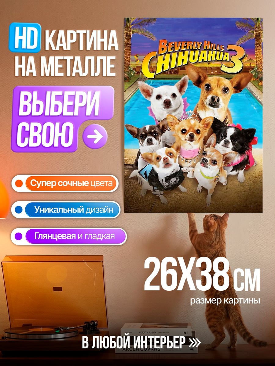 Картина на металле Чихуахуа Беверли Хиллз