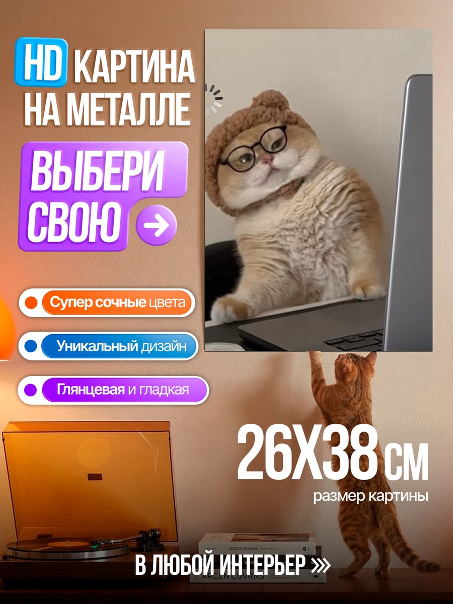 Картина на металле Кот в очках