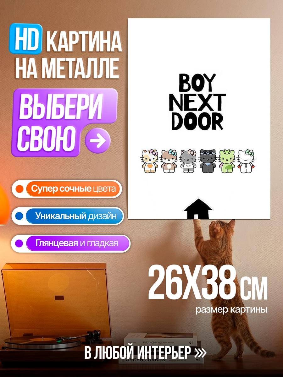 Картина на металле BOY NEXT DOOR