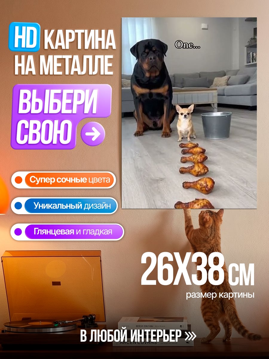 Картина на металле Собаки и куриные ножки