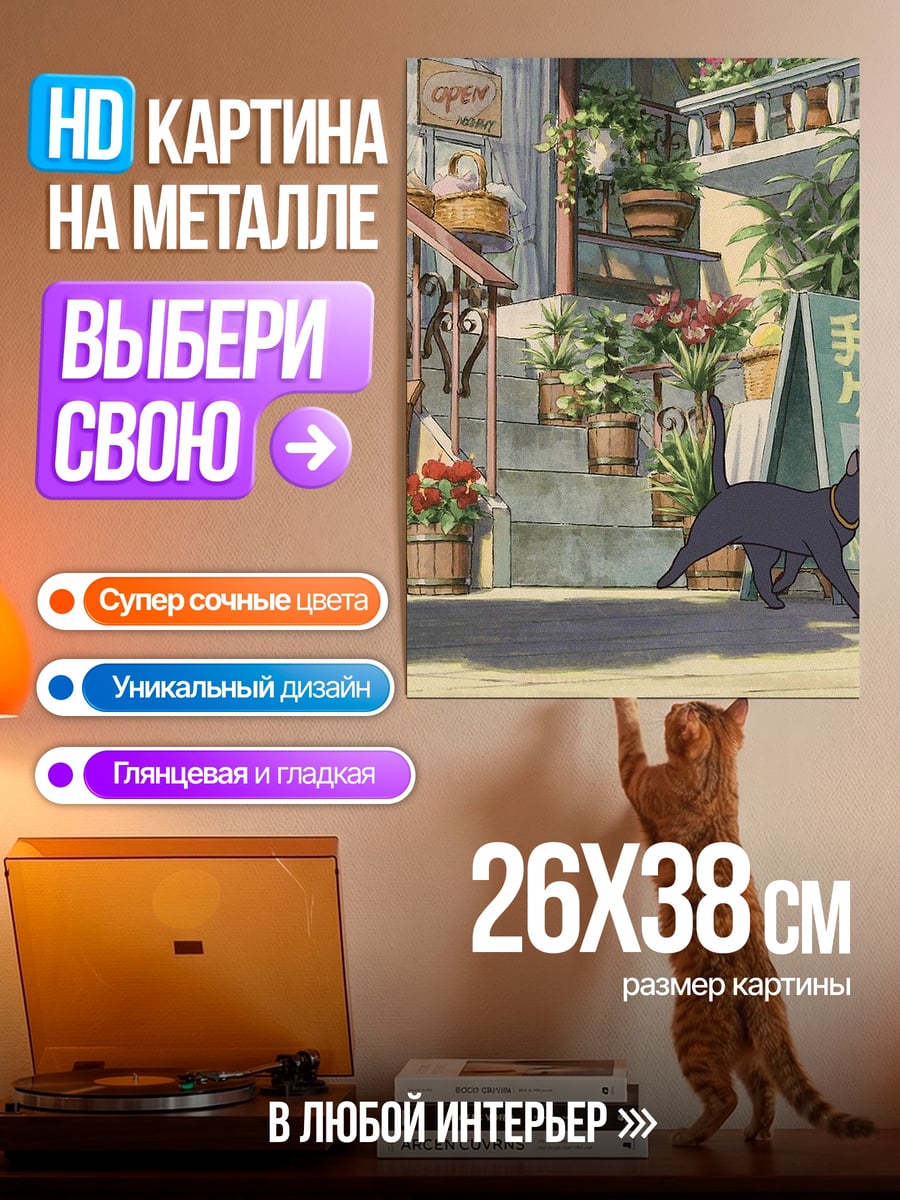 Картина на металле Черный кот и старушка