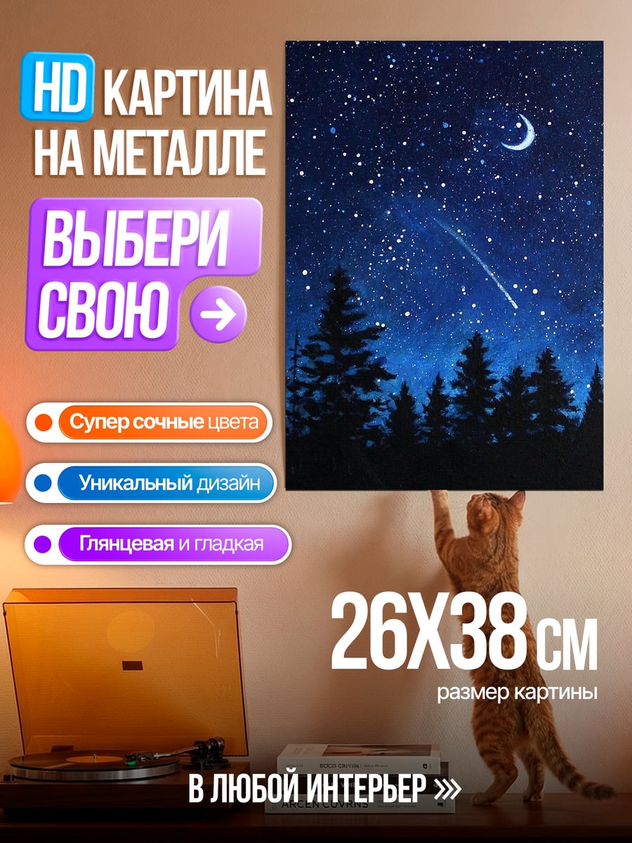 Картина на металле Звездная ночь