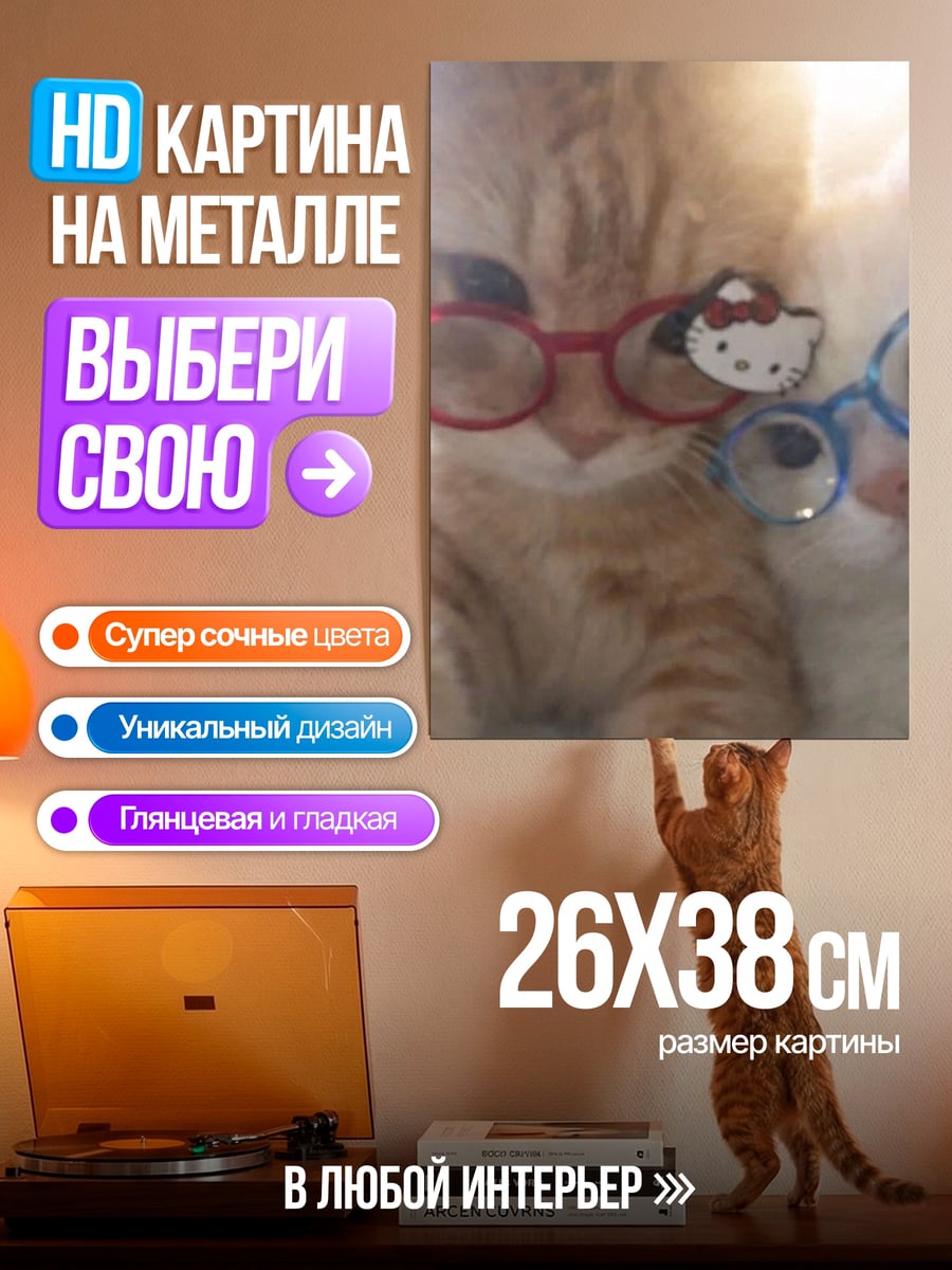 Картина на металле Котики в очках