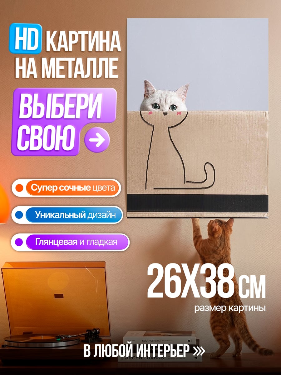 Картина на металле Кот в коробке
