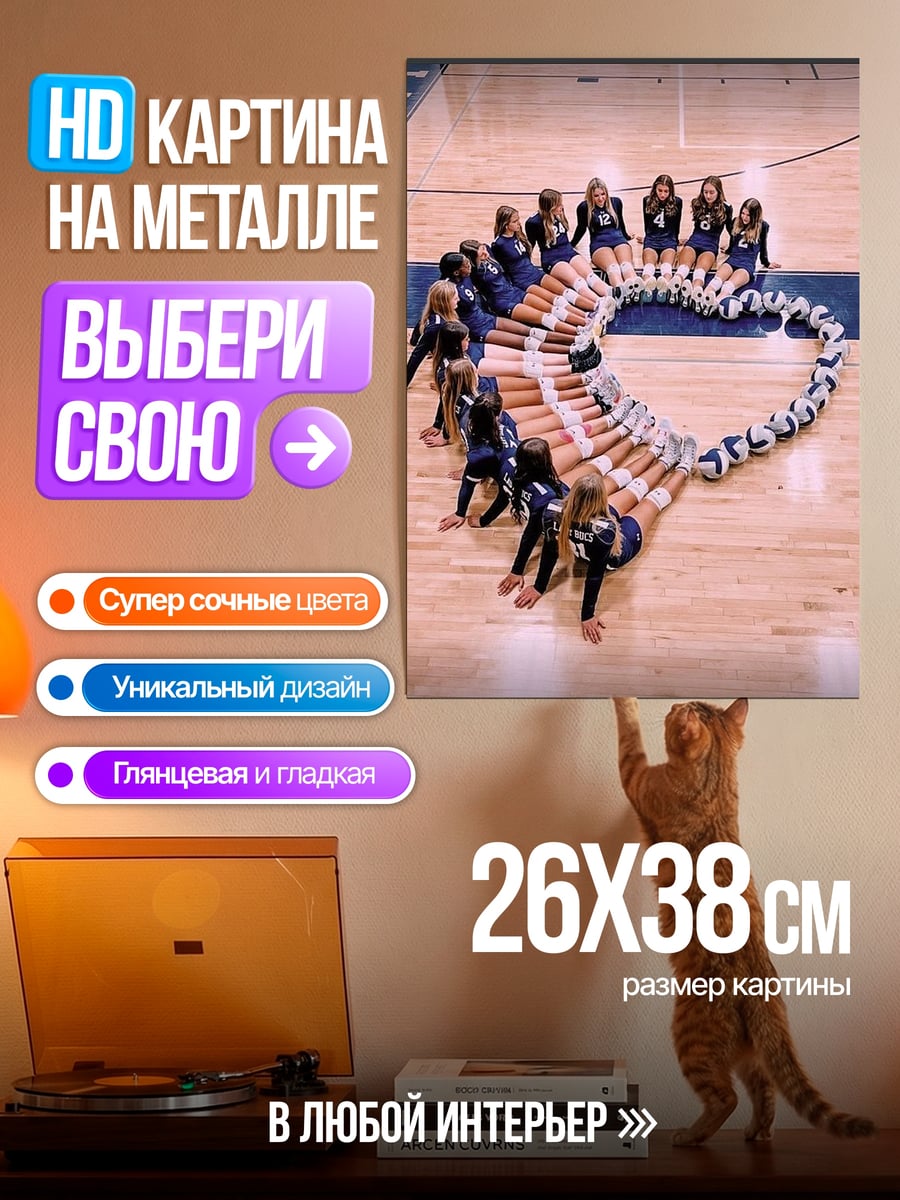 Картина на металле Волейбольная команда в круге