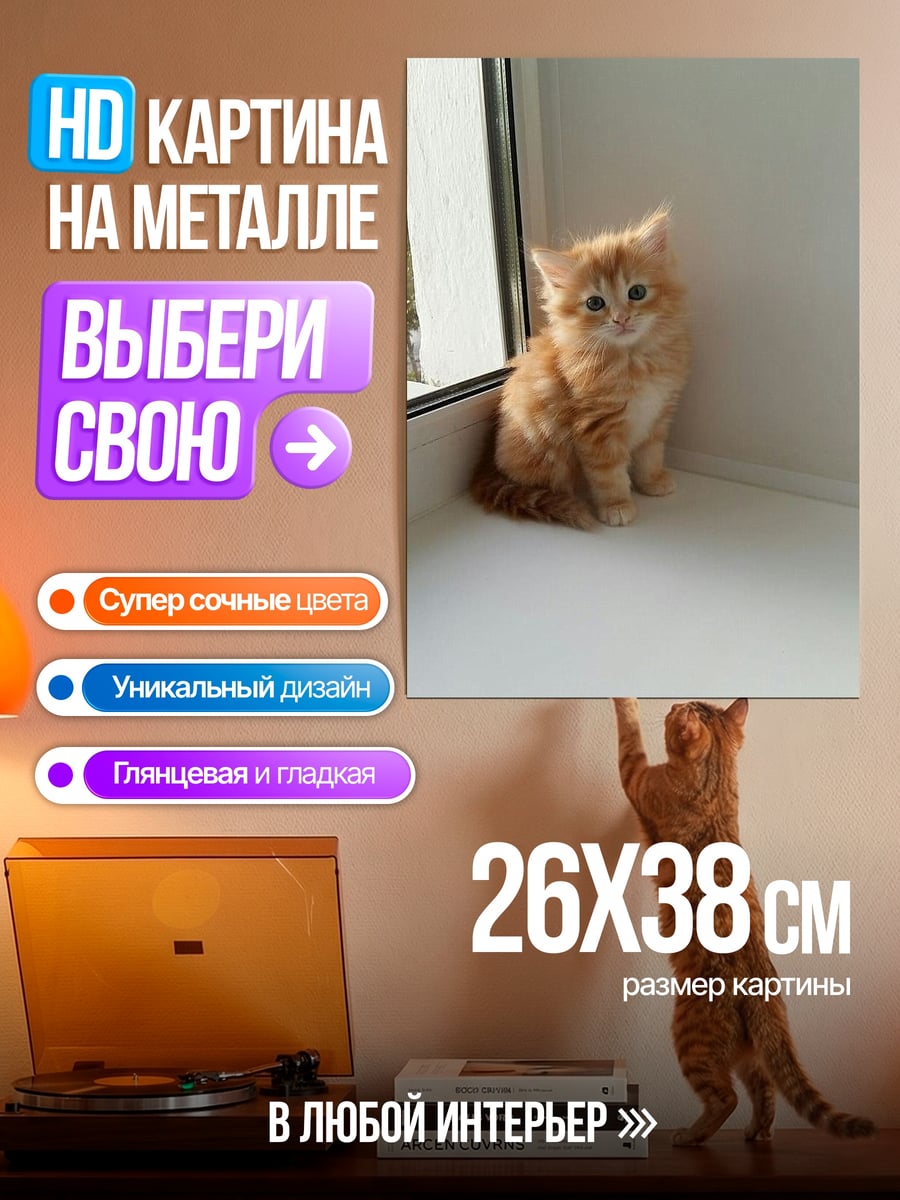 Картина на металле Рыжий котенок у окна