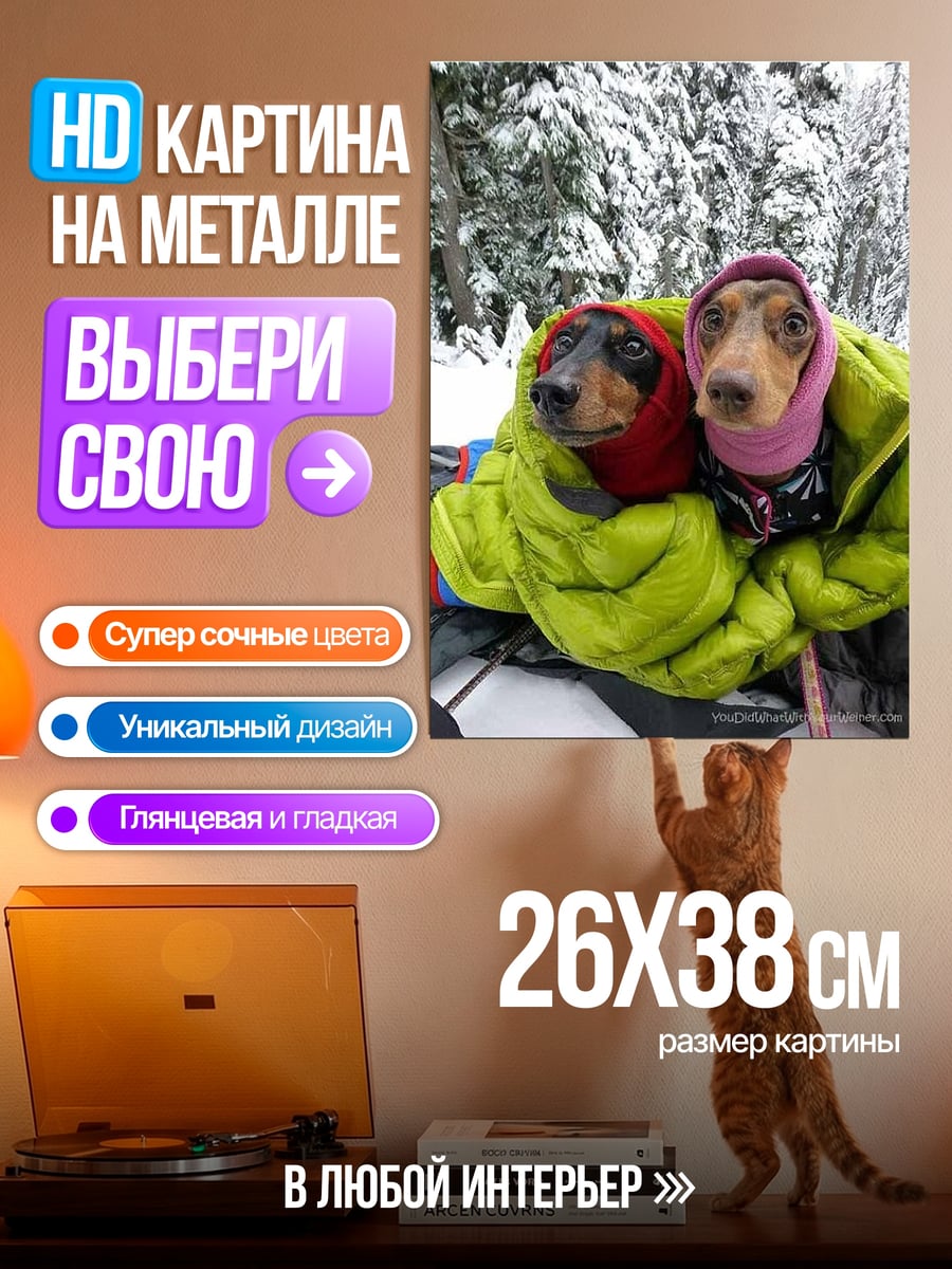 Картина на металле Таксы в снегу