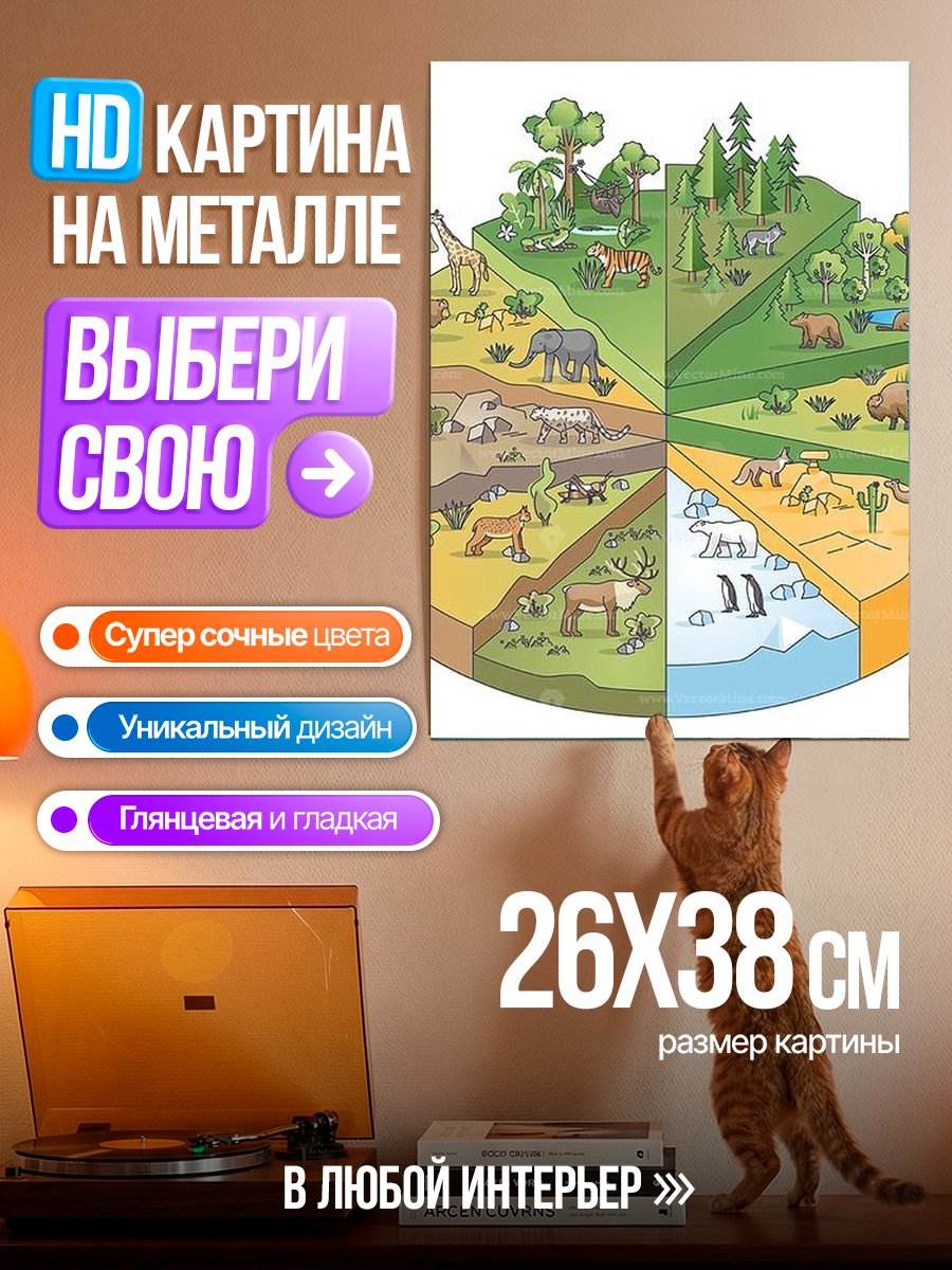 Картина на металле Карта биомов мира