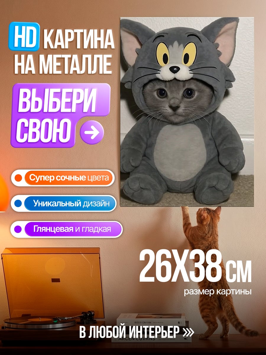 Картина на металле Кот в костюме Тома