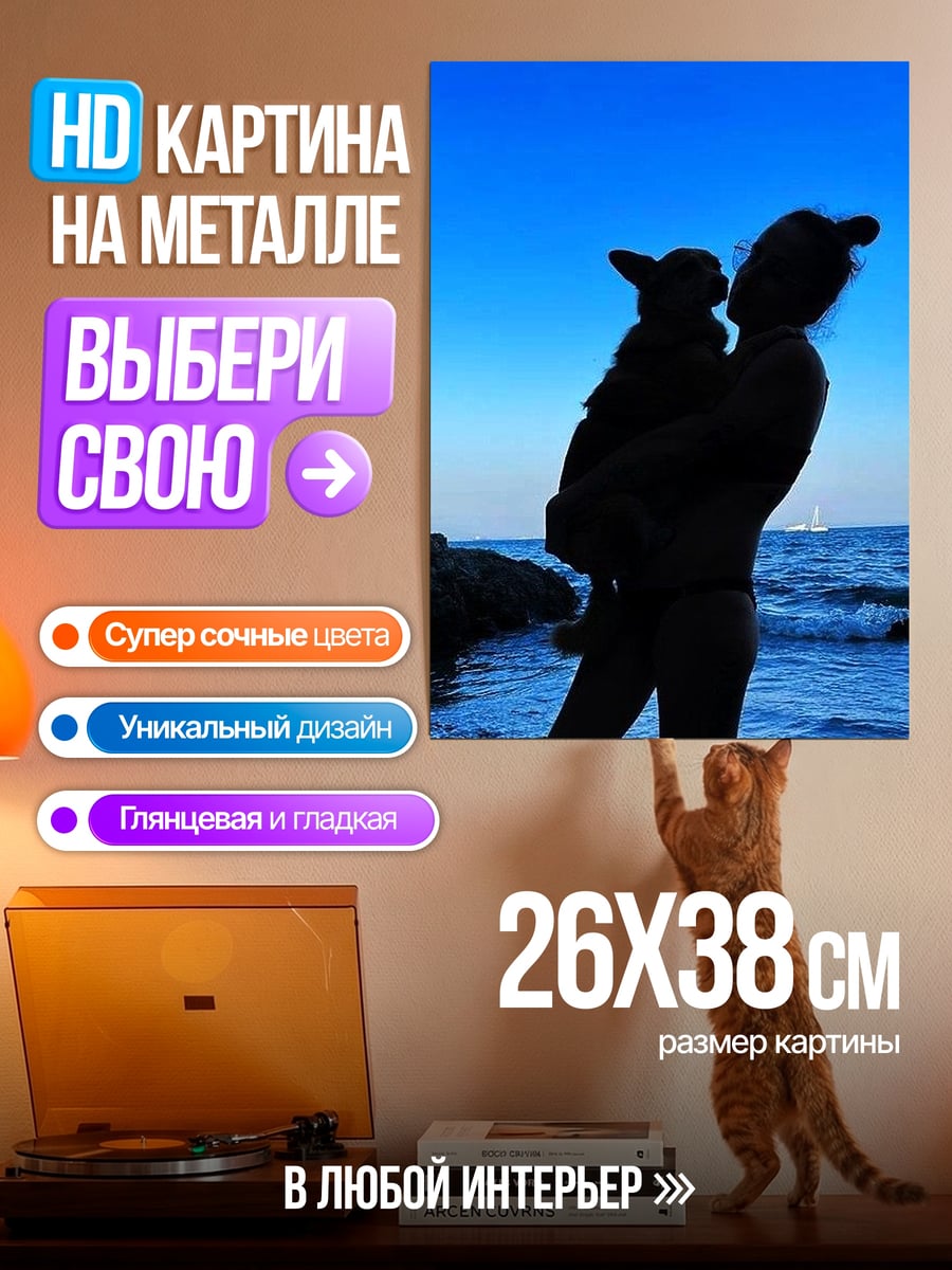 Картина на металле Силуэт девушки с собакой