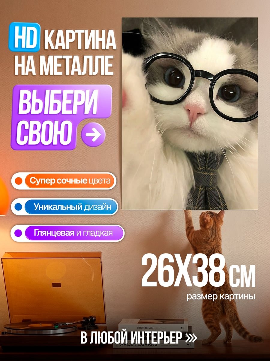 Картина на металле Кот в очках
