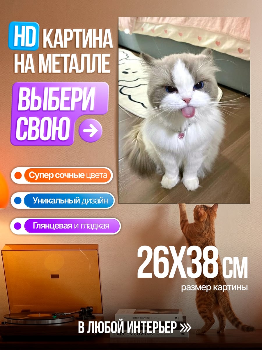 Картина на металле Кот показывает язык