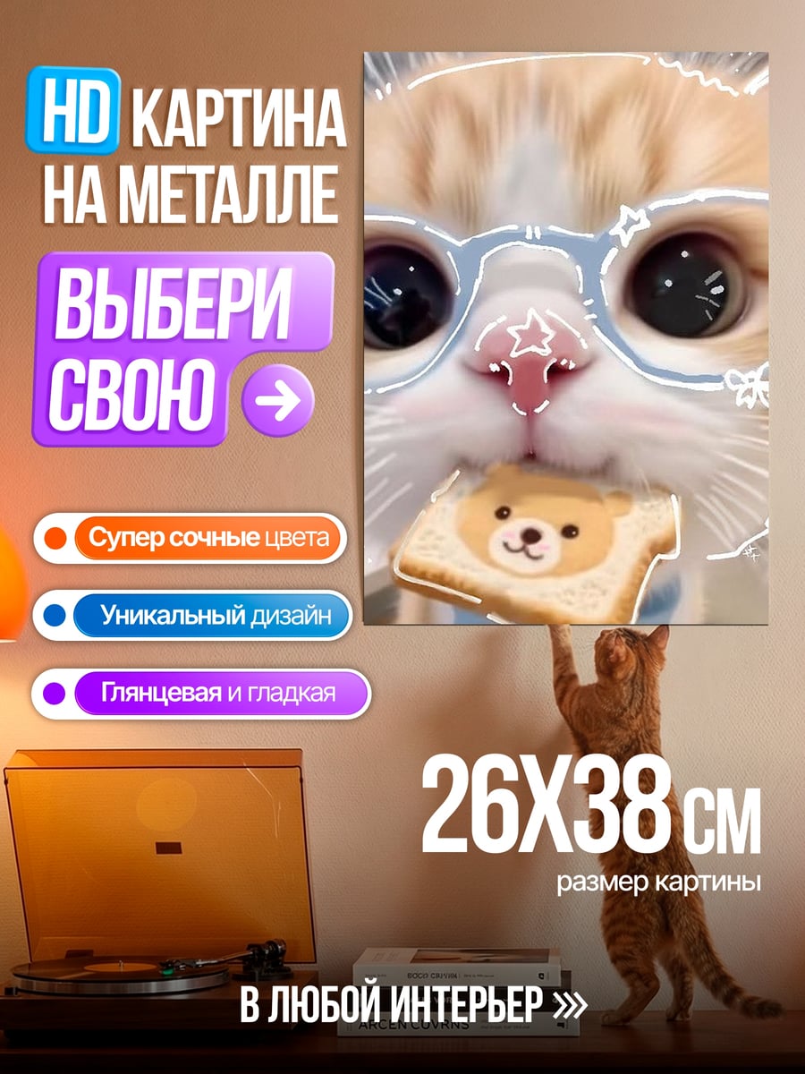Картина на металле Кот в очках
