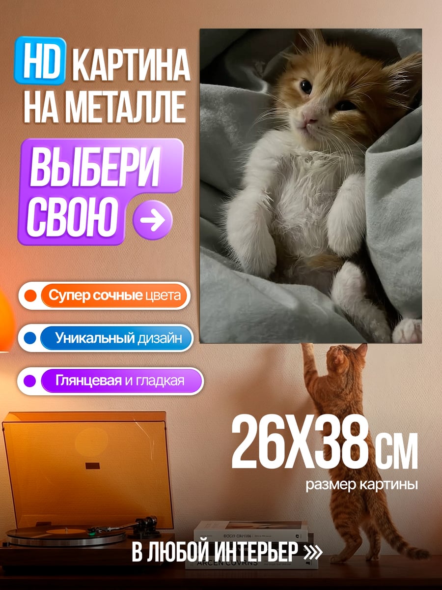 Картина на металле Кот в кровати