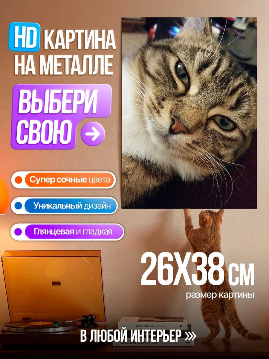 Картина на металле Ленивый кот