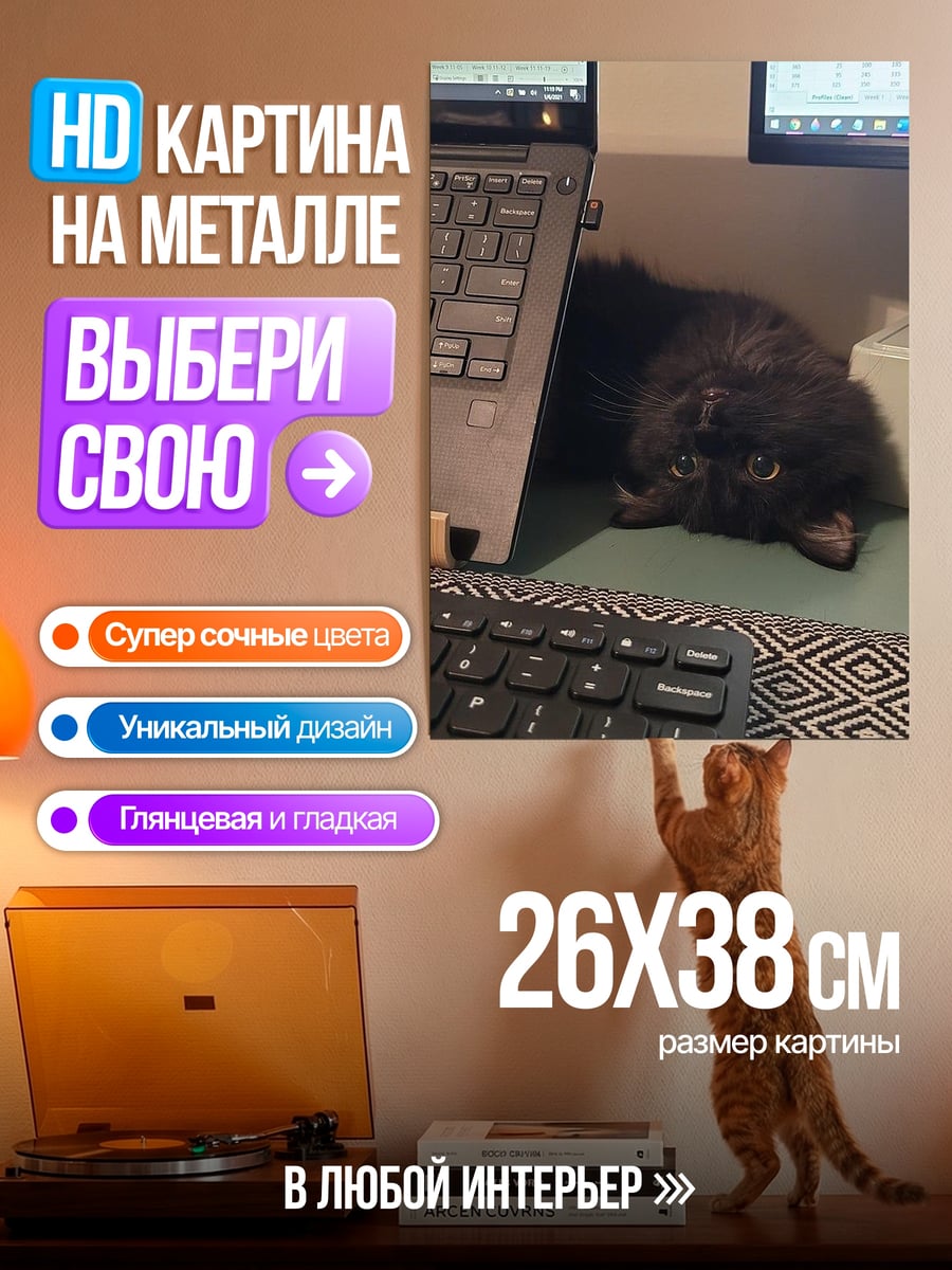 Картина на металле черный кот за работой