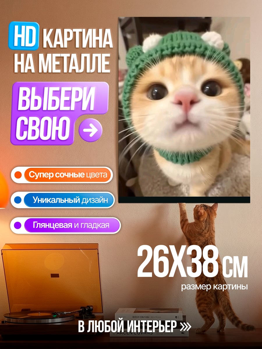 Картина на металле Кот в шапке
