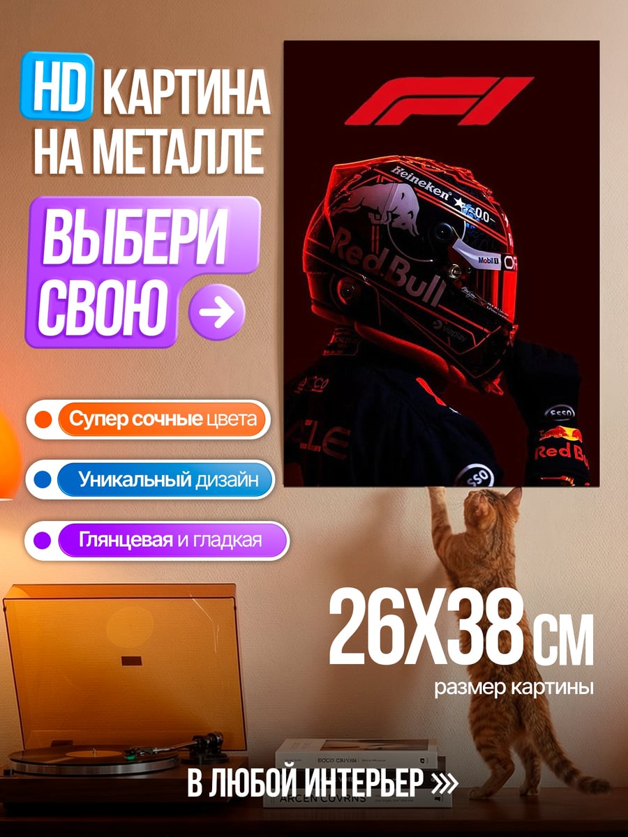 Картина на металле Формула 1 гонщик