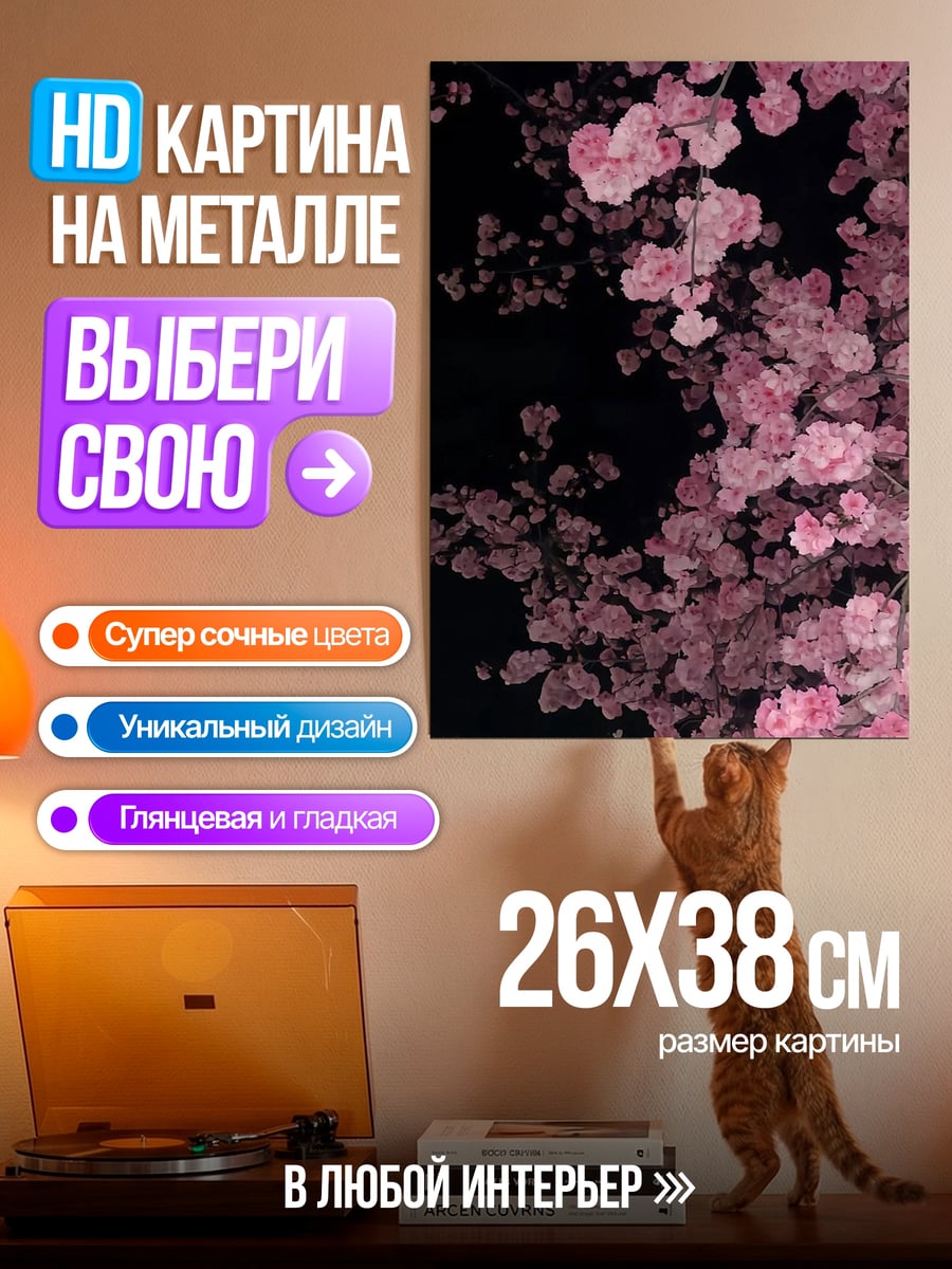 Картина на металле Цветущая сакура ночью