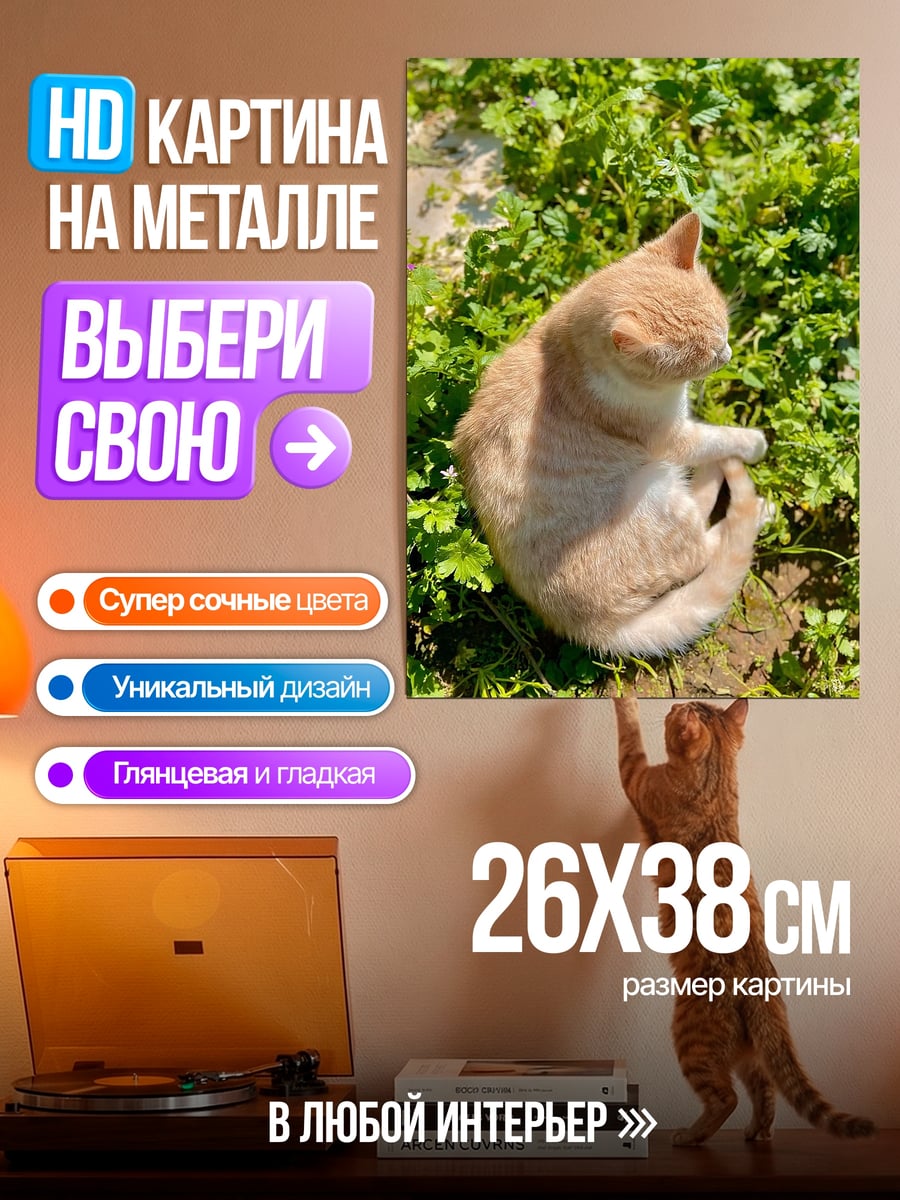 Картина на металле Кот на траве