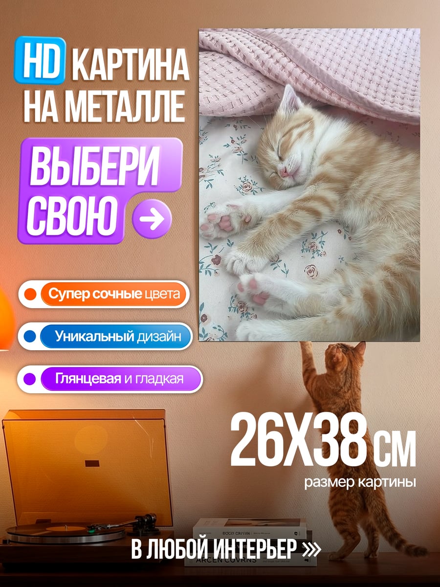 Картина на металле Спящий кот