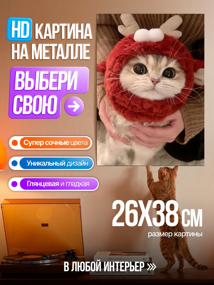 Картина на металле Кот в шапке