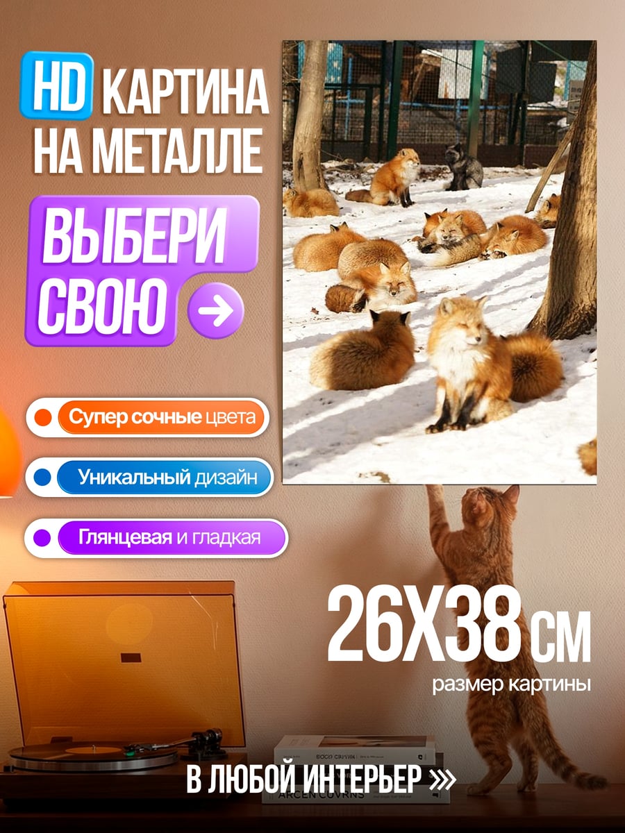 Картина на металле Лисы на снегу