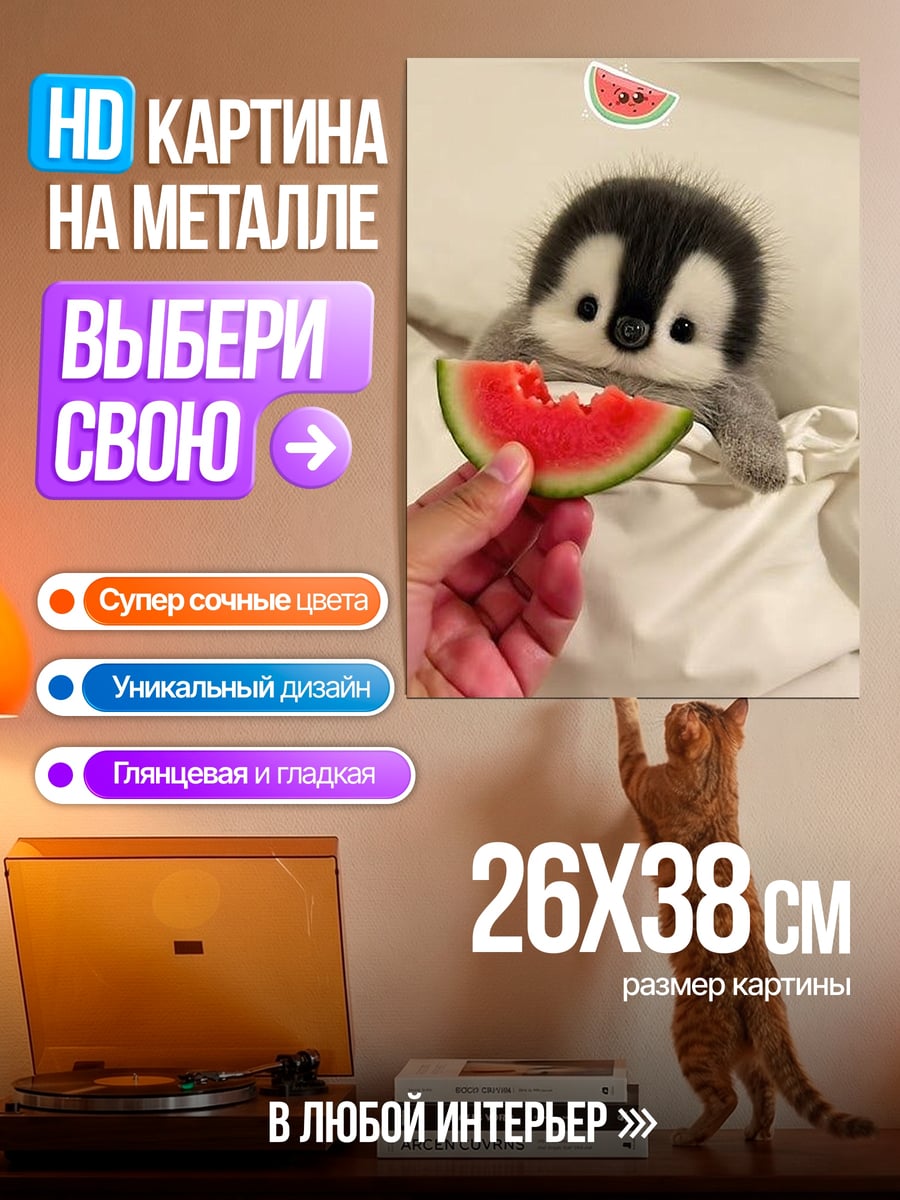 Картина на металле Пингвин ест арбуз