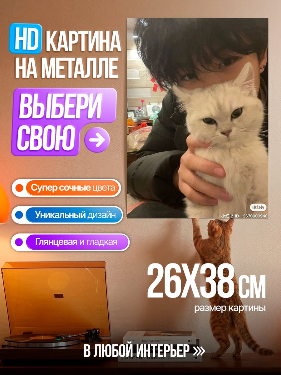 Картина на металле Парень с котом