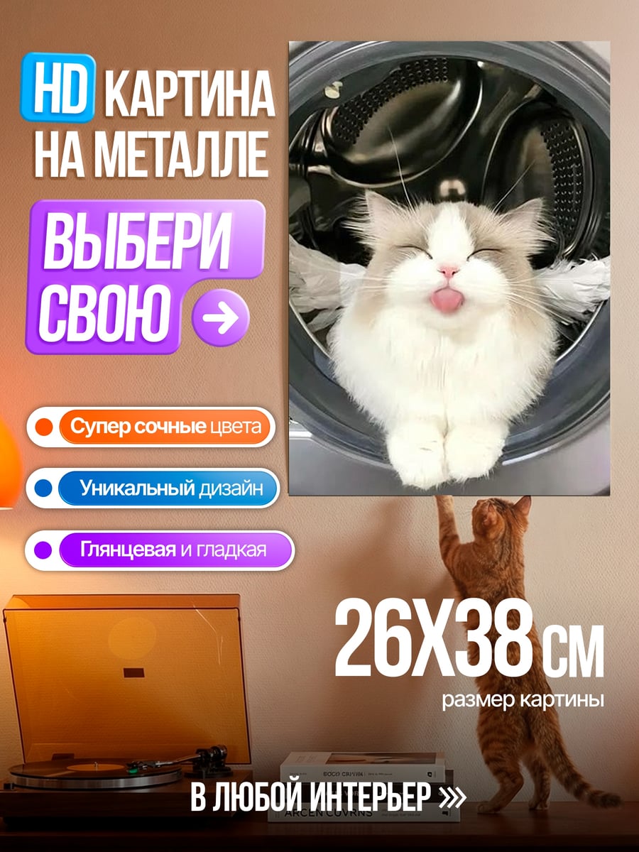 Картина на металле Кот в стиральной машине