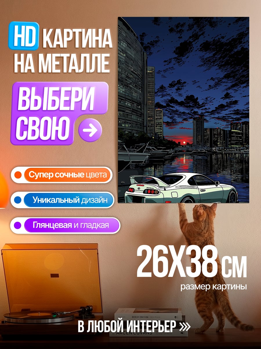 Картина на металле Supra в городе