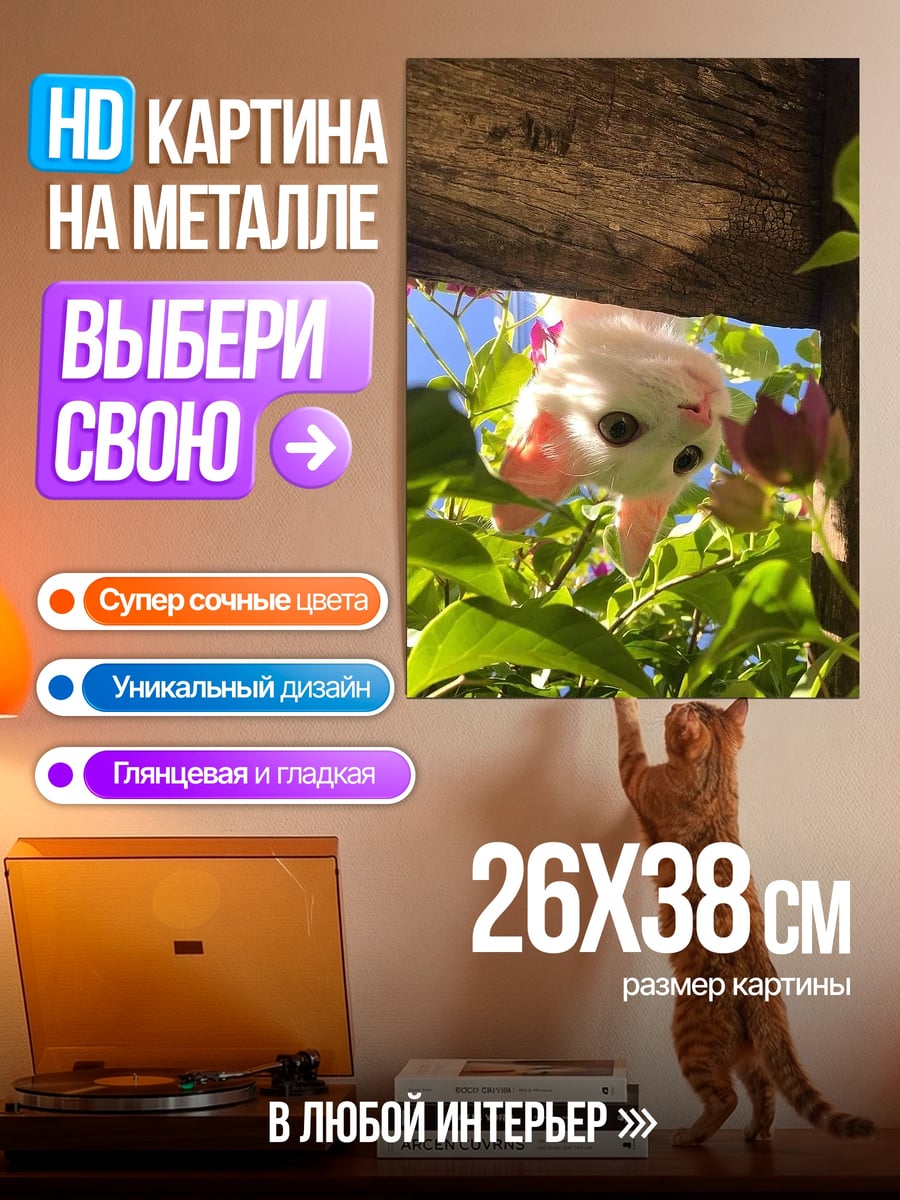 Картина на металле Кот выглядывает