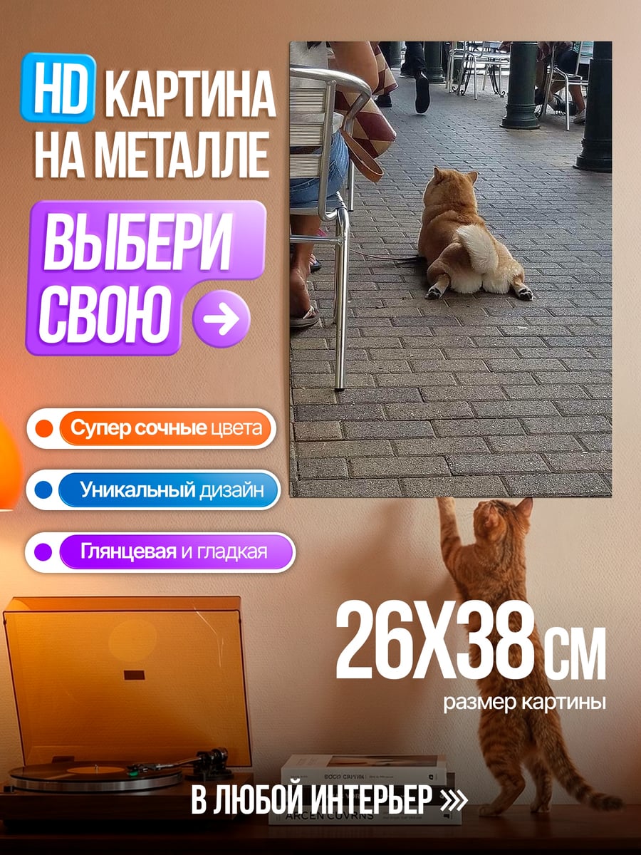 Картина на металле Собака сидит на брусчатке