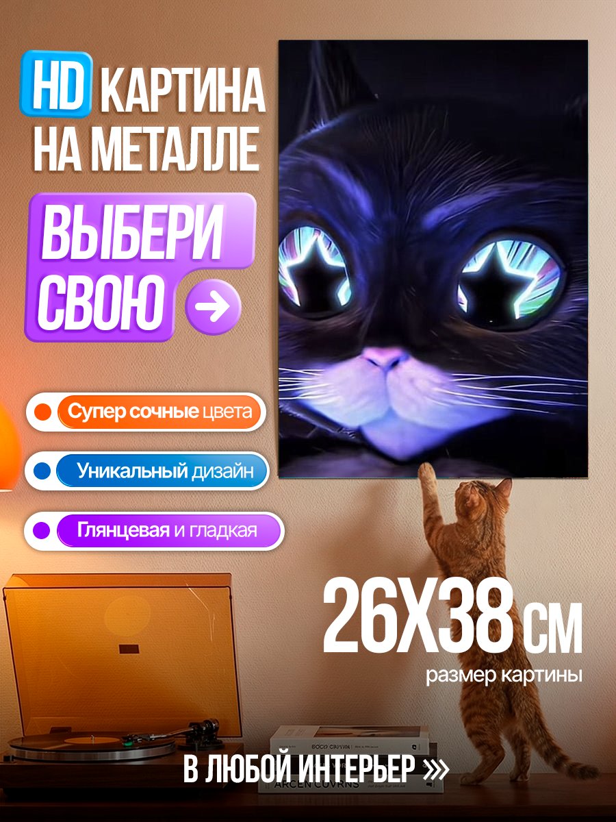 Картина на металле Черный кот звезда