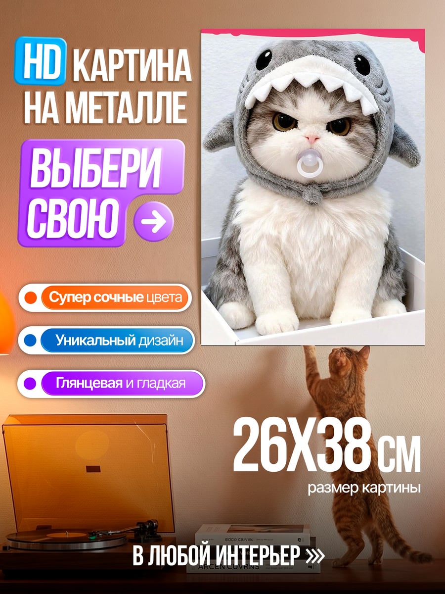 Картина на металле Кот в костюме акулы