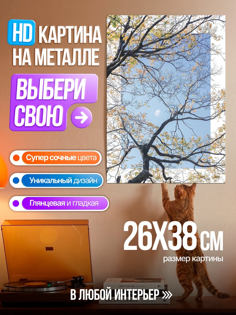 Картина на металле Осенние деревья и небо