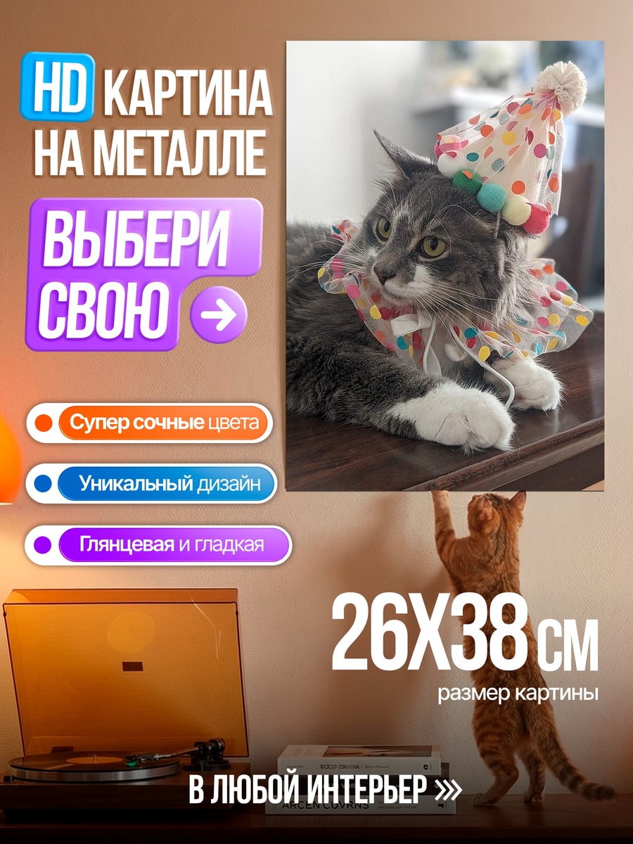 Картина на металле Кот в колпаке