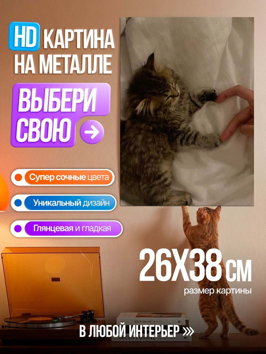 Картина на металле Котёнок и сердце