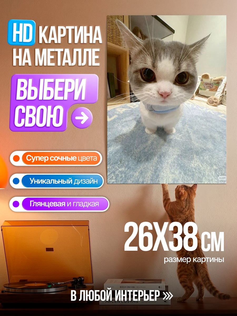 Картина на металле Кот с большими глазами
