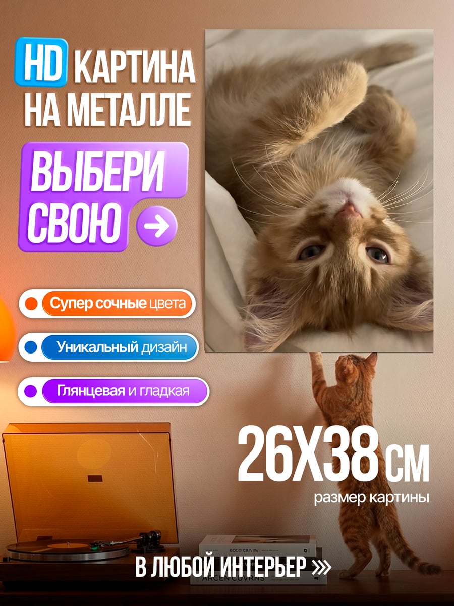 Картина на металле Рыжий котенок