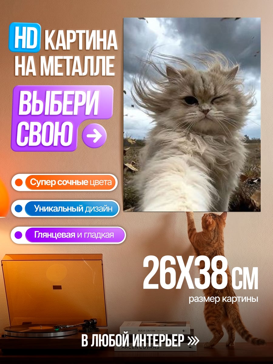 Картина на металле Кот на ветру